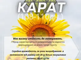 Зображення для оголошення Насіння соняшника гібрид Карат(SU)- стійкий до вилягання та посухи