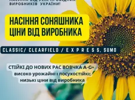 Зображення для оголошення Новинка!!! Насіння Соняшника Гібрид - УРБАН OR7 (SU)
