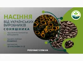 Зображення для оголошення Урбан OR7+ (105-110 дн.) під гранстар 50 гр/га