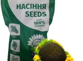 Зображення для оголошення Насіння соняшника гібрид КАРАТ (108-110дн.) гранстаростійкий