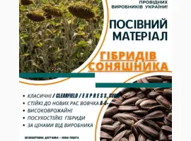 Зображення для оголошення Посівний матеріал соняшника та кукурудзи