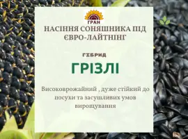 Зображення для оголошення НОВИНКА 2021р. НАСІННЯ соняшника під Євролайтнінг - ГРІЗЛІ (100-107дн)
