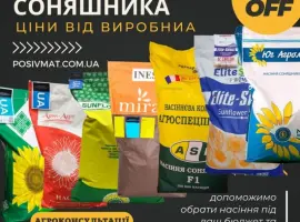 Зображення для оголошення Насіння СОНЯШНИКА за цінами від виробника