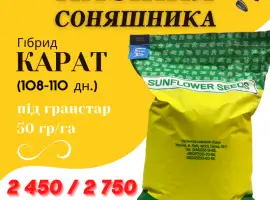 Зображення для оголошення КАРАТ - насіння соняшника