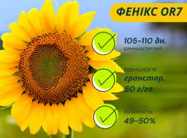 Зображення для оголошення ФЕНІКС OR7