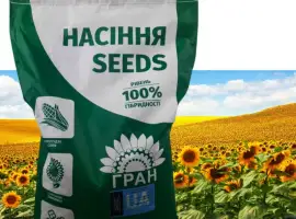 Зображення для оголошення Насіння соняшника під євролайтнінг гібрид - Грізлі 100-107дн.