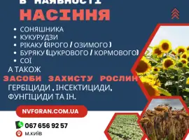 Зображення для оголошення Все для посіву НАСІННЯ