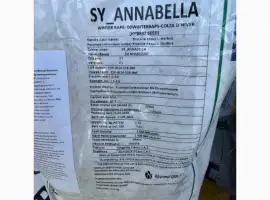 Зображення для оголошення Насіння озимого ріпаку СИ Анабелла
