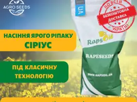 Зображення для оголошення Насіння Ярого ріпаку гібрид Сіріус ( БЕЗ ГМО!) / Ярий ріпак Сіріус