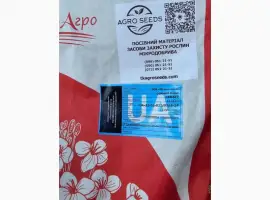 Зображення для оголошення Озимий ріпак Ламбер ( Насіння озимого ріпаку Ламбер)