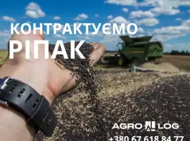 Зображення для оголошення КУПЛЮ РІПАК