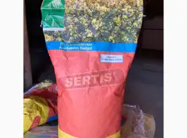 Зображення для оголошення Продам сертифіковане насіння озимого ріпака (Дженіксон)