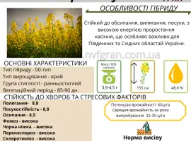 Зображення для оголошення Насіння ЯРОГО ріпака - Раудіс (раундапостійкий)