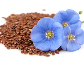Зображення для оголошення Cемена льна сорта Надёжный