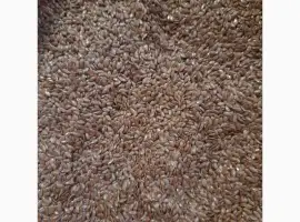 Зёрна Лён золотистый