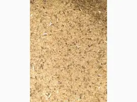 Отходы льна коричневого золотого