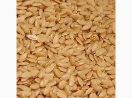 Льон Золотий