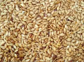 Продам льон Золотистий