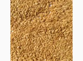 Продам семена льна масличного белый