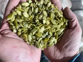 Зображення для оголошення Продам гарбузове насіння високої якості