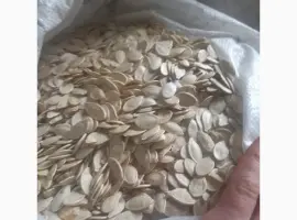 Зображення для оголошення Продам насіння гарбуза