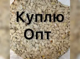 Зображення для оголошення Купимо Гарбузове насіння всіх сортів