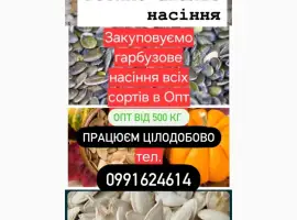 Зображення для оголошення Куплю насіння гарбуза