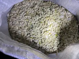 Продам мілку болгарку
