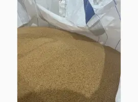 Зображення для оголошення Продаємо льон кор./золотий база