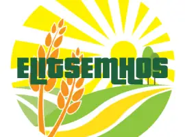 Зображення для оголошення Пропонуємо насіння ярових культур- Коріандр