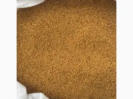 Зображення для оголошення Семена горчицы желтой озимой сорт Новинка