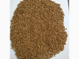 Зображення для оголошення Куплю кориандр и отходы кориандра