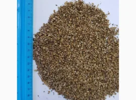 Зображення для оголошення Кориандр половинки