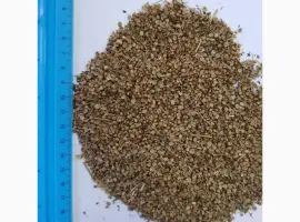 Зображення для оголошення Кориандр половинки