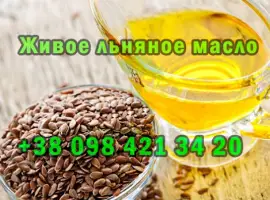 Продаю живое льняное масло