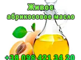 Продaю свeжeвыжaтоe aбрикосовоe мaсло