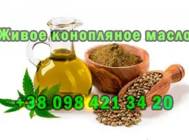 Продам свежевыжатое масло из технической конопли