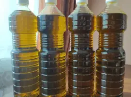 Продам технічну рослинну олію