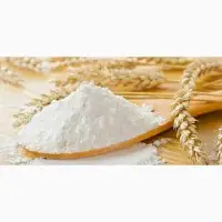 Продам борошно пшеничне всіх сортів