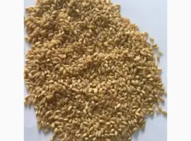 Зображення для оголошення Продам Кутью из твердых и мягких сортов пшеницы