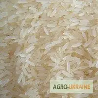 Зображення для оголошення Рис Камолино Эксклюзив