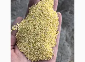 Зображення для оголошення Пшено