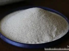 Зображення для оголошення Манна крупа експорт / Semolina export 50kg bags