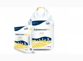 Зображення для оголошення Saletrzak 27