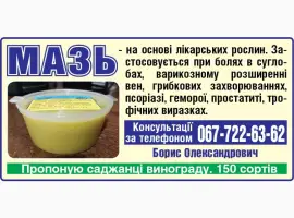 Зображення для оголошення Мазь от болей в суставах - 80 грам
