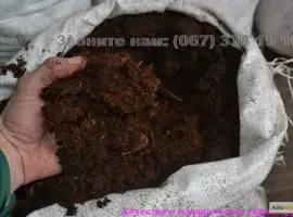 Зображення для оголошення Перегной в мешках Гостомель Буча Конский перегной Киевская область Удобрение