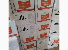 Зображення для оголошення Артист 41