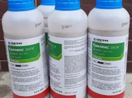 Зображення для оголошення Квелекс - інноваційний гербіцид для ефективного контролю бур'янів в посівах зернових культ