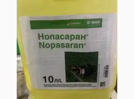 Зображення для оголошення Нопасаран - контроль широкого спектру бур’янів у посівах ріпаку