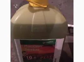 Зображення для оголошення Пассат - гербіцид проти бур’янів в посівах соняшнику